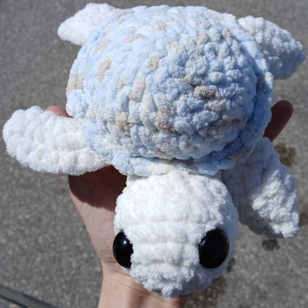 Light blue shell turtle