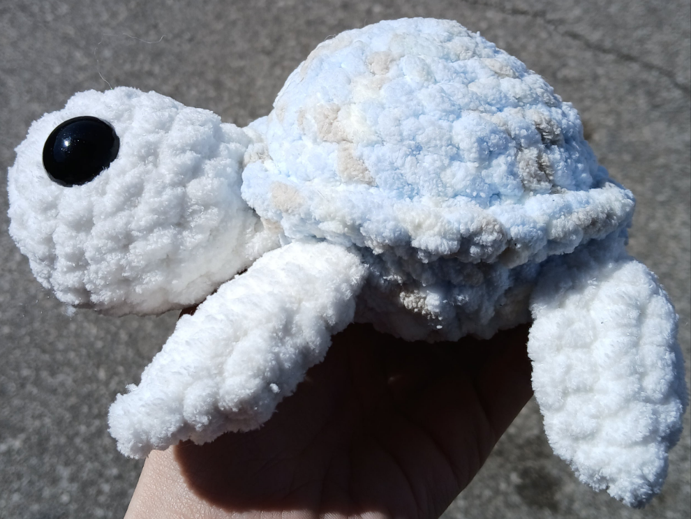Light blue shell turtle