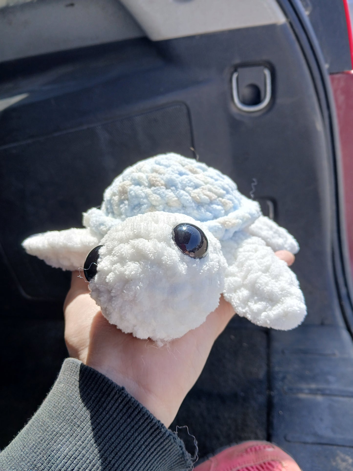 Light blue shell turtle