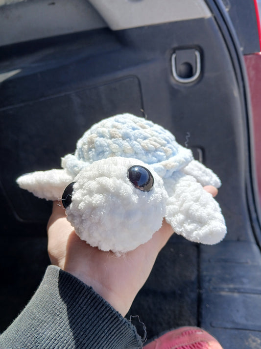 Light blue shell turtle